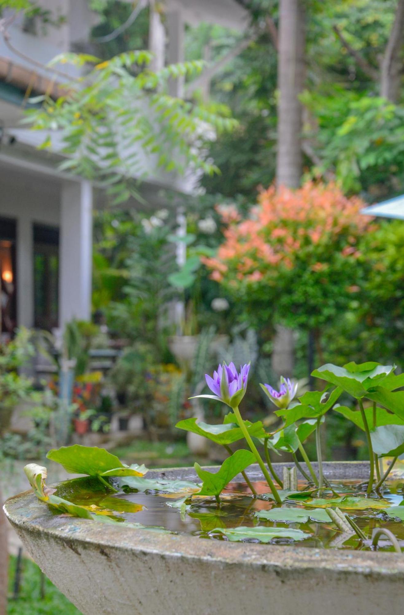 Palm Garden Guest House Galle Eksteriør bilde