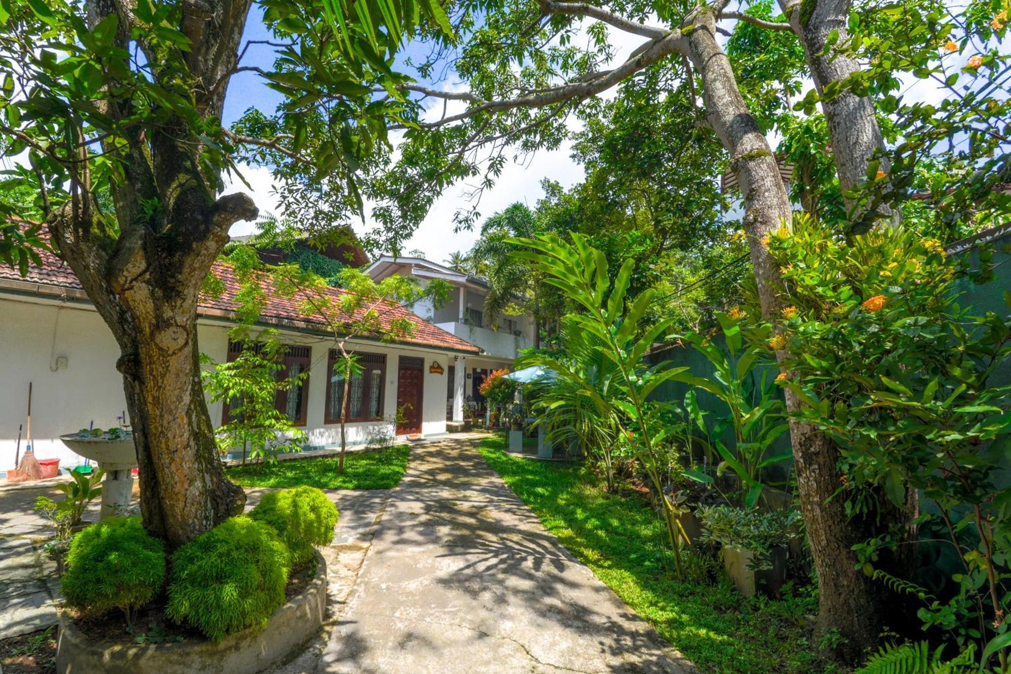 Palm Garden Guest House Galle Eksteriør bilde